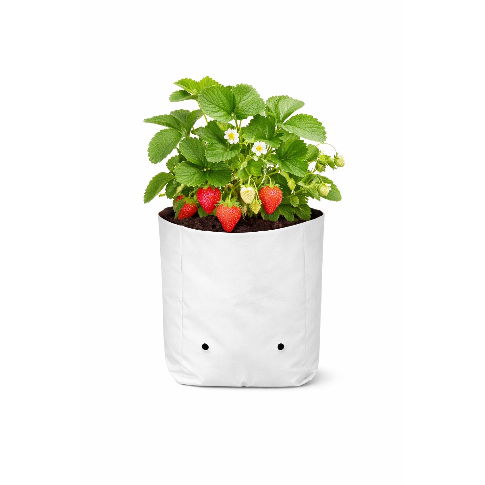Poly Grow Bags Durable Reusable