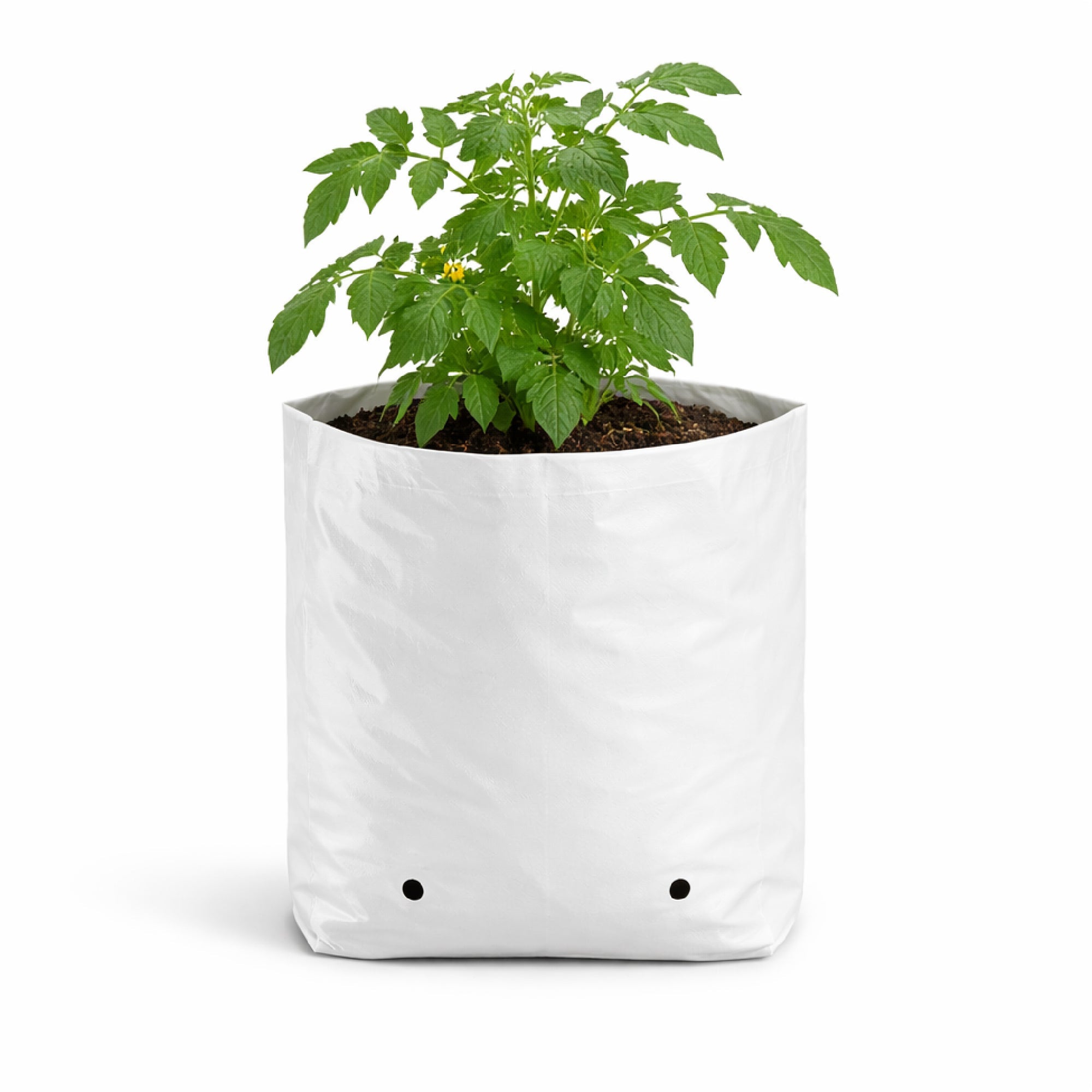 Poly Grow Bags Durable Reusable