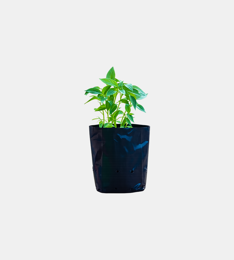 Nursery Bag