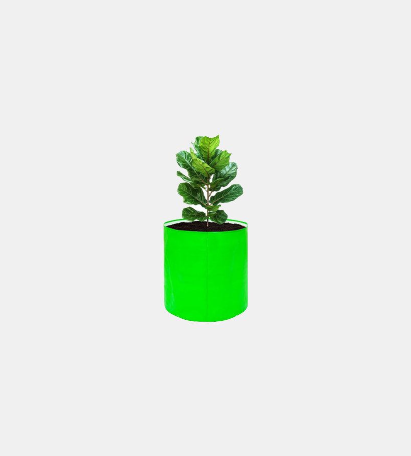 Grow Bag