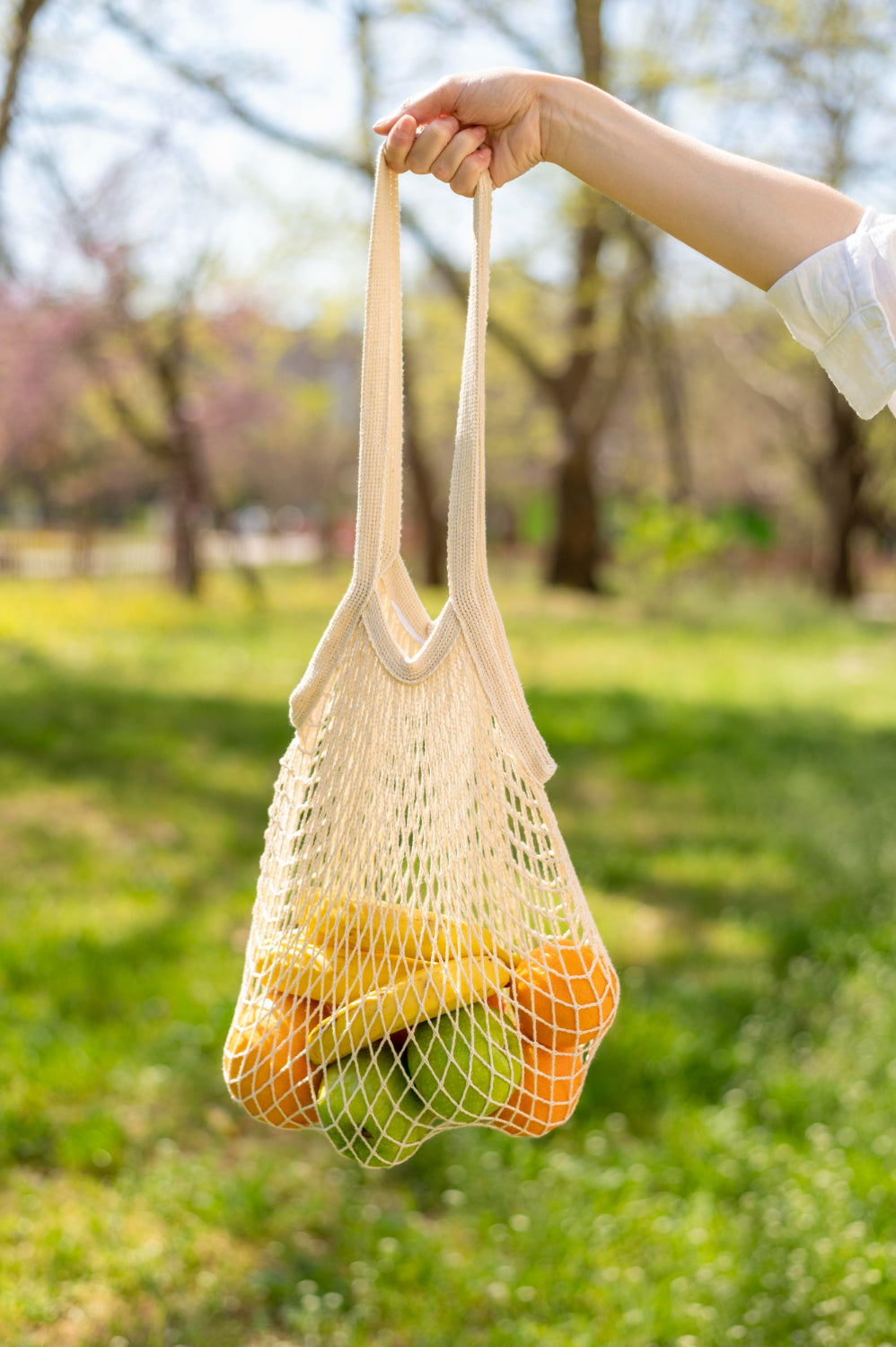 Vegetable Bag (Cotton + Net)