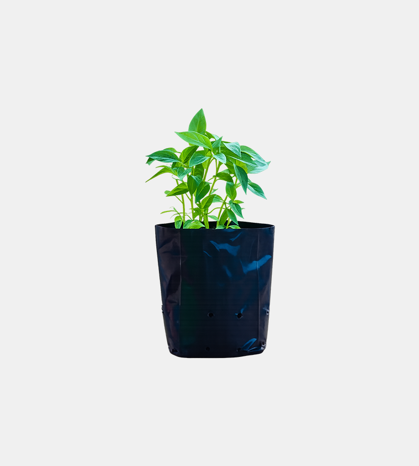 Nursery Bag