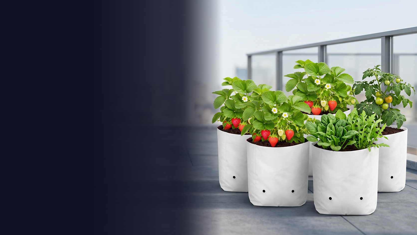Durable poly grow<br> bags for home <br>gardening and nurseries