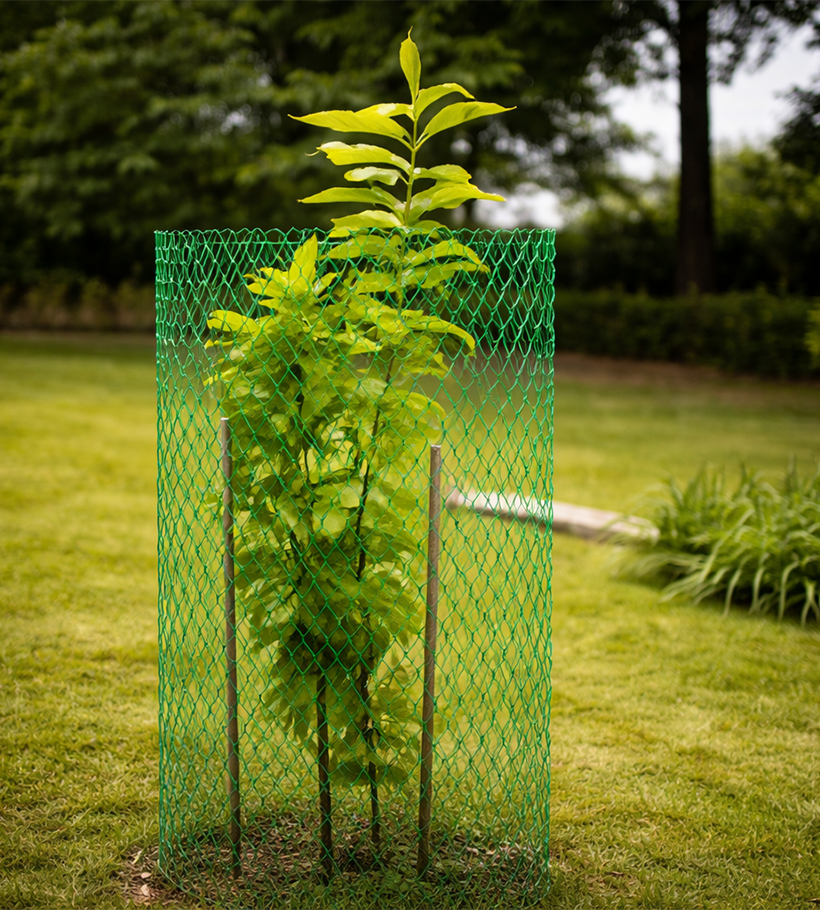 Tree Guard